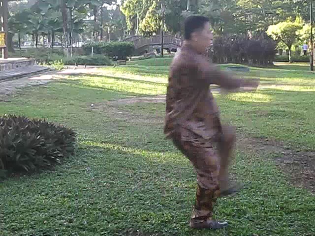 Wu Chuan You Style Taijiquan